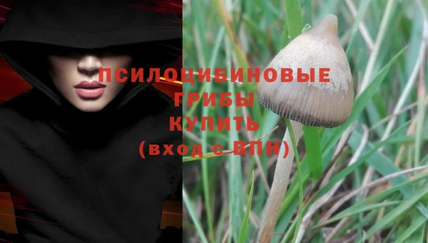 ГАЛЛЮЦИНОГЕННЫЕ ГРИБЫ Белоозёрский