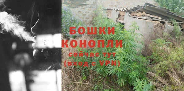 ГАЛЛЮЦИНОГЕННЫЕ ГРИБЫ Белоозёрский