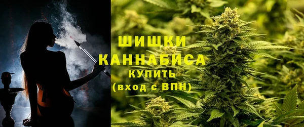 ГАЛЛЮЦИНОГЕННЫЕ ГРИБЫ Белоозёрский