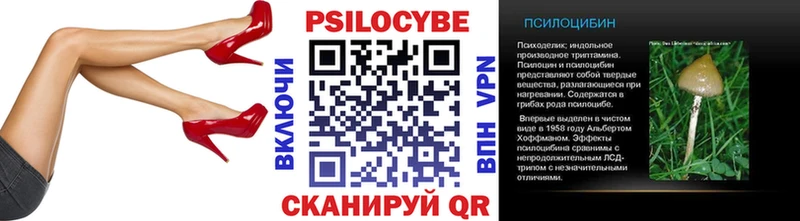цена   Черноголовка  Галлюциногенные грибы Cubensis 
